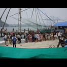 Eine Busladung Touristen